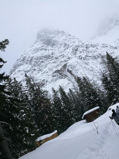 Chalet Les Girolles