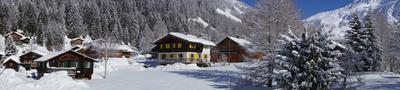 Chalet Needles