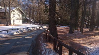 Chalet Svizzero