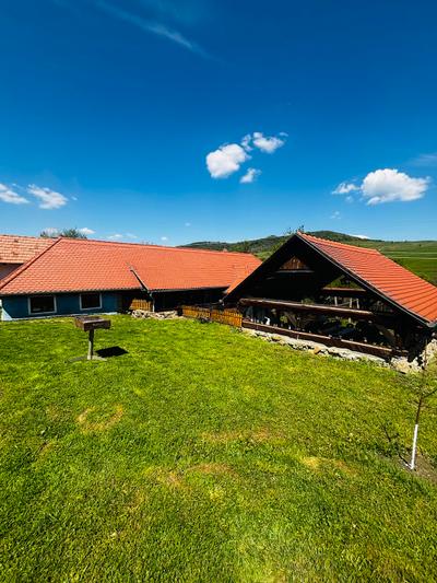 Sapartoc Traditional Romanian Village