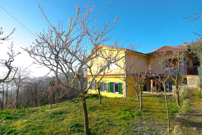 Azienda Agrituristica I TRE GRAPPOLI