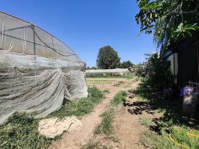 Agricampeggio da Scarpa