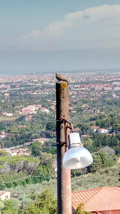 Affittacamere Il Poggio