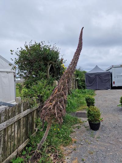 Isle of Man Campsite onchan
