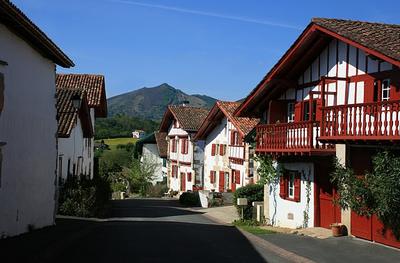 Dominxenea