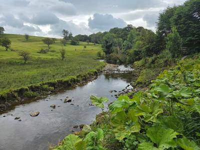 Airton Mill