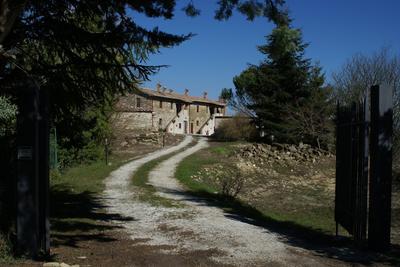 Baroncelli Bellavista