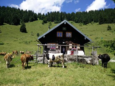 Jaudenalm