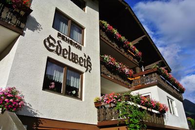 Edelweiß