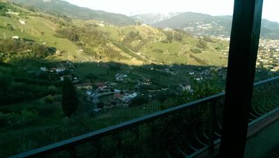 Agriturismo "Il Vigneto" nelle colline del Candia