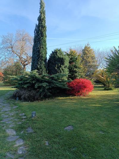La Casa Del Carballo