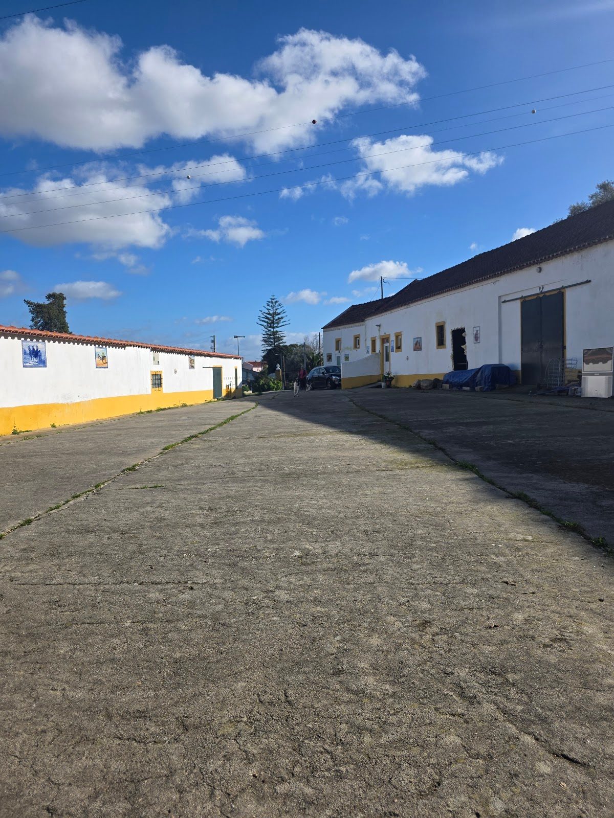 Quinta de Santo António- caminho do casquinha