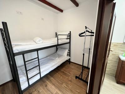 Hostel Omul Verde