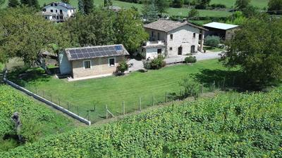 B&B Il Casale dei Nonni