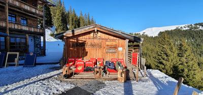 Pinzgau Hut