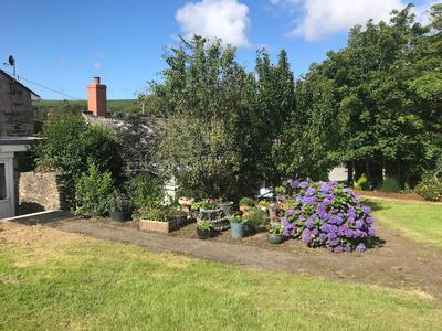 Mill Lane Caravan & Camping Site