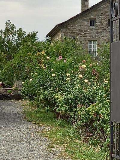 Piano Di Bilù