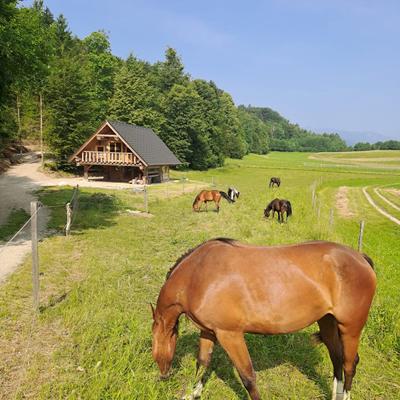 Camping & Riding Dalija