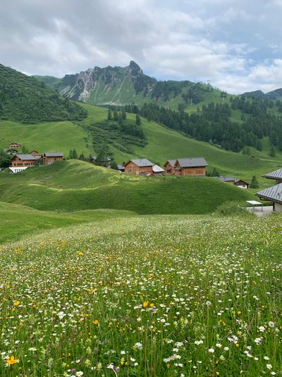 Ferienhaus Murmelegg