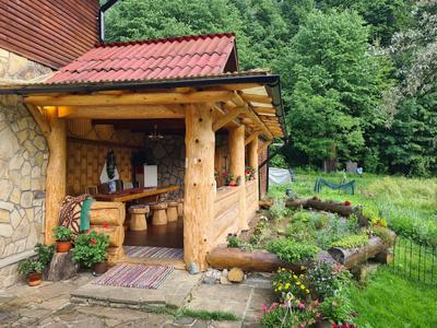Poiana de vis