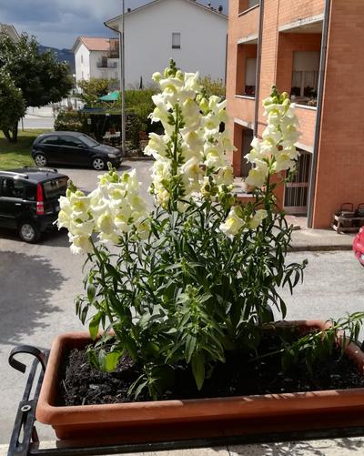 Affittacamere Giada sul percorso francescano