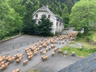 Gabas Maison des Gardes