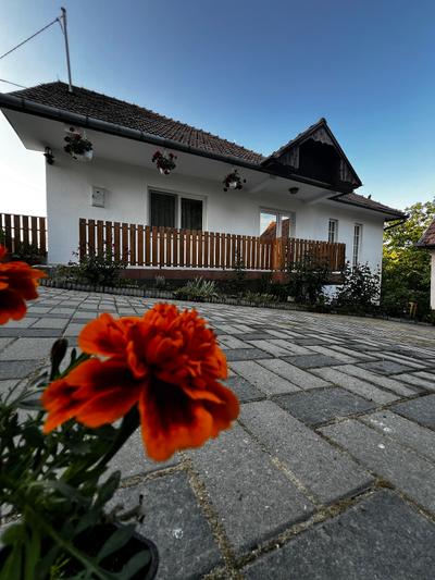 Guesthouse Balázs