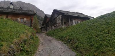 Leos Alm