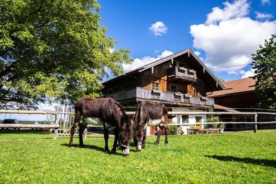 Ferienwohnungen Thalerbauer