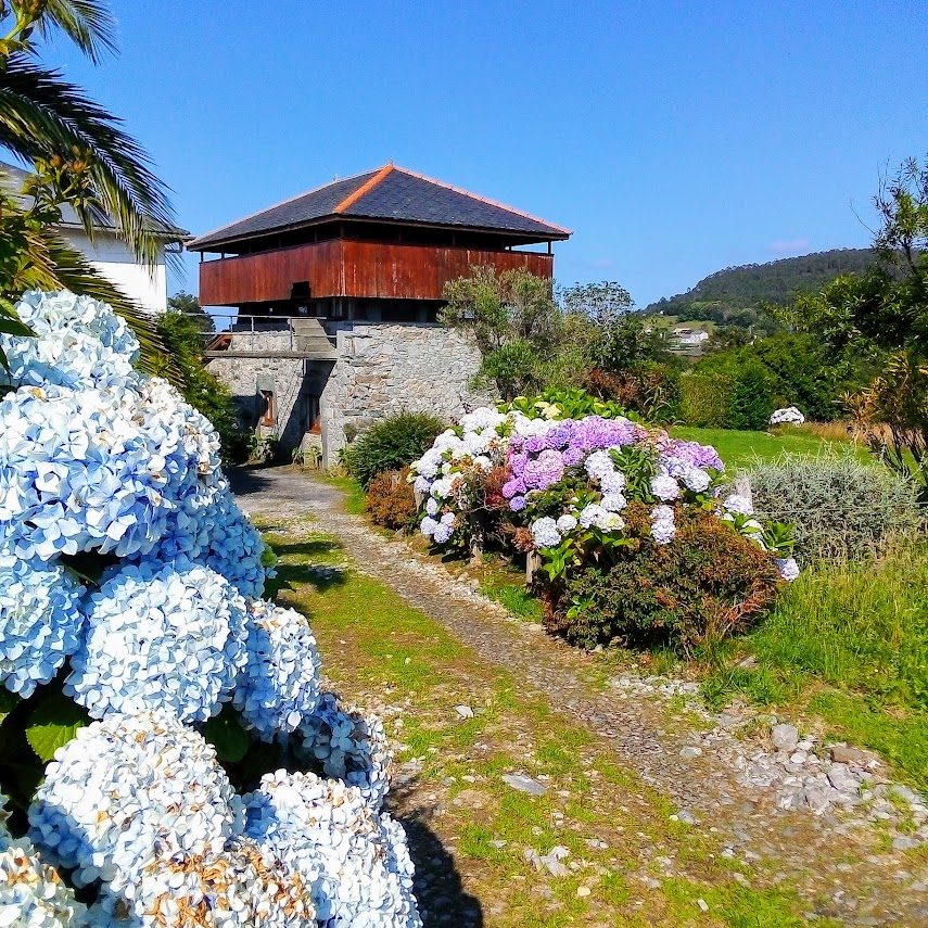 Las Golondrinas. Casas rurales y de vacaciones. Luarca. Asturias