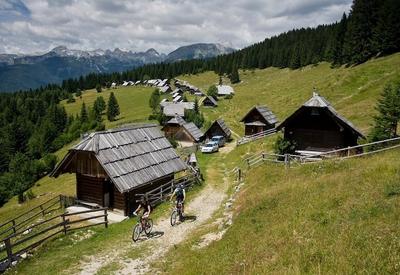 Villa Pokljuka