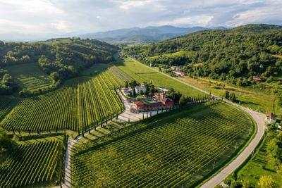 Azienda Agricola Il Roncal