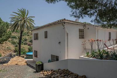 Finca el Bufón de la corte
