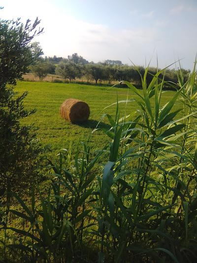 Agriturismo La Giara