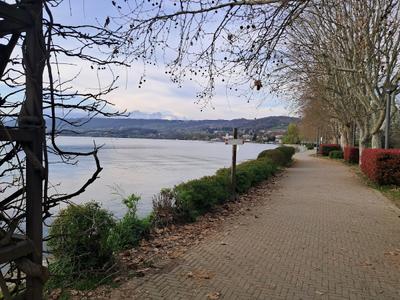 VIVERONE avventura