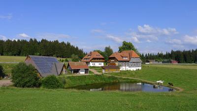 Gasthaus zum Hirschen