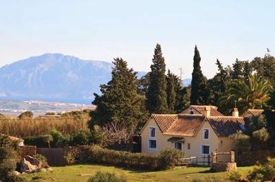 Betis houses