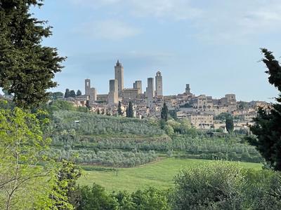 Fattoria Abbazia Monte Oliveto S.a.r.l.