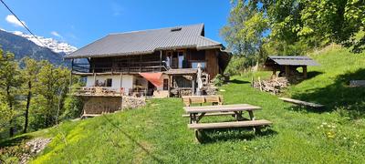 Chalet Shanti