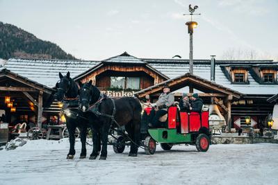 Hotel GUT Trattlerhof & Chalets