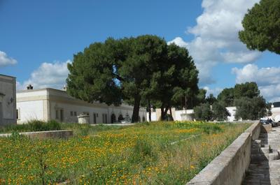 Masseria Le Mesole