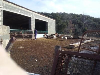 Mas Mas _ Rural Home