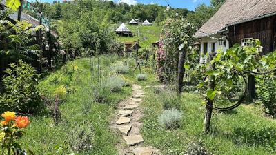 Saschiz 130/Lodging and Glamping