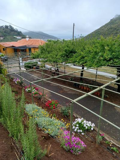 Casa Rural Los Alamos