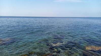 Oasi Blu