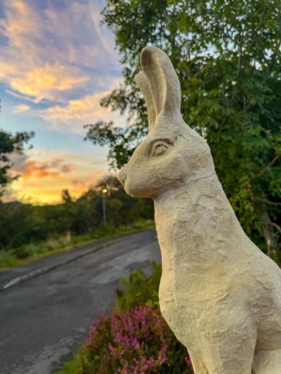 The White Rabbit Rooms