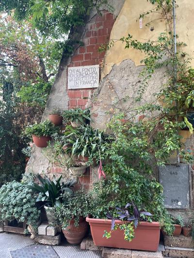 Arte Mare Libri e Natura - Airbnb