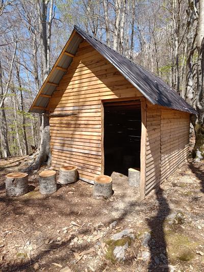 Shelter