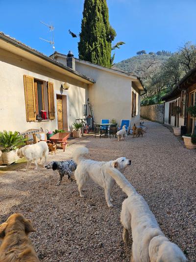 SetterHouse AgriHotel Trevi