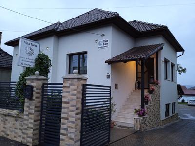 Vila Lion